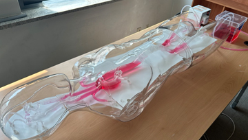 3D 혈관 시뮬레이터 및 투시 조영술 X-ray 사진1